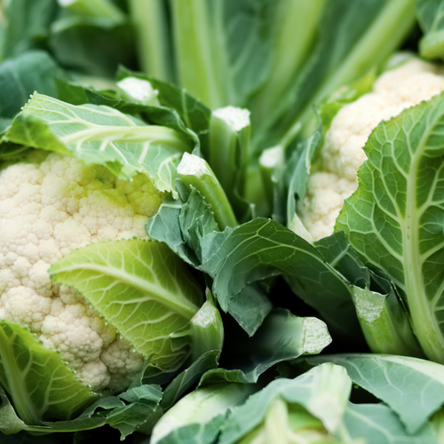 Ovenschotel Parmentier met linzengehakt en bloemkool (vegetarisch)