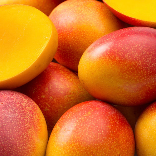 Panna cotta met mango